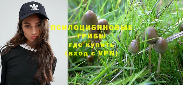 соль ск Коряжма
